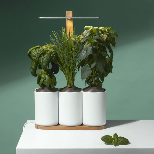 Accessories for indoor gardens - Prêt à Pousser - Prêt à Pousser 🇪🇺