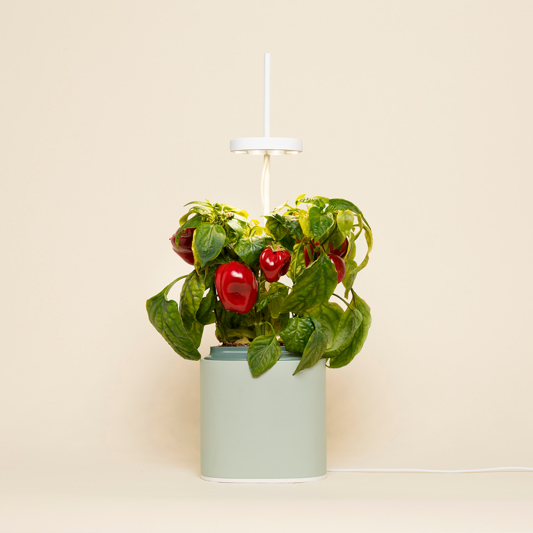 Accessories for indoor gardens - Prêt à Pousser - Prêt à Pousser 🇪🇺