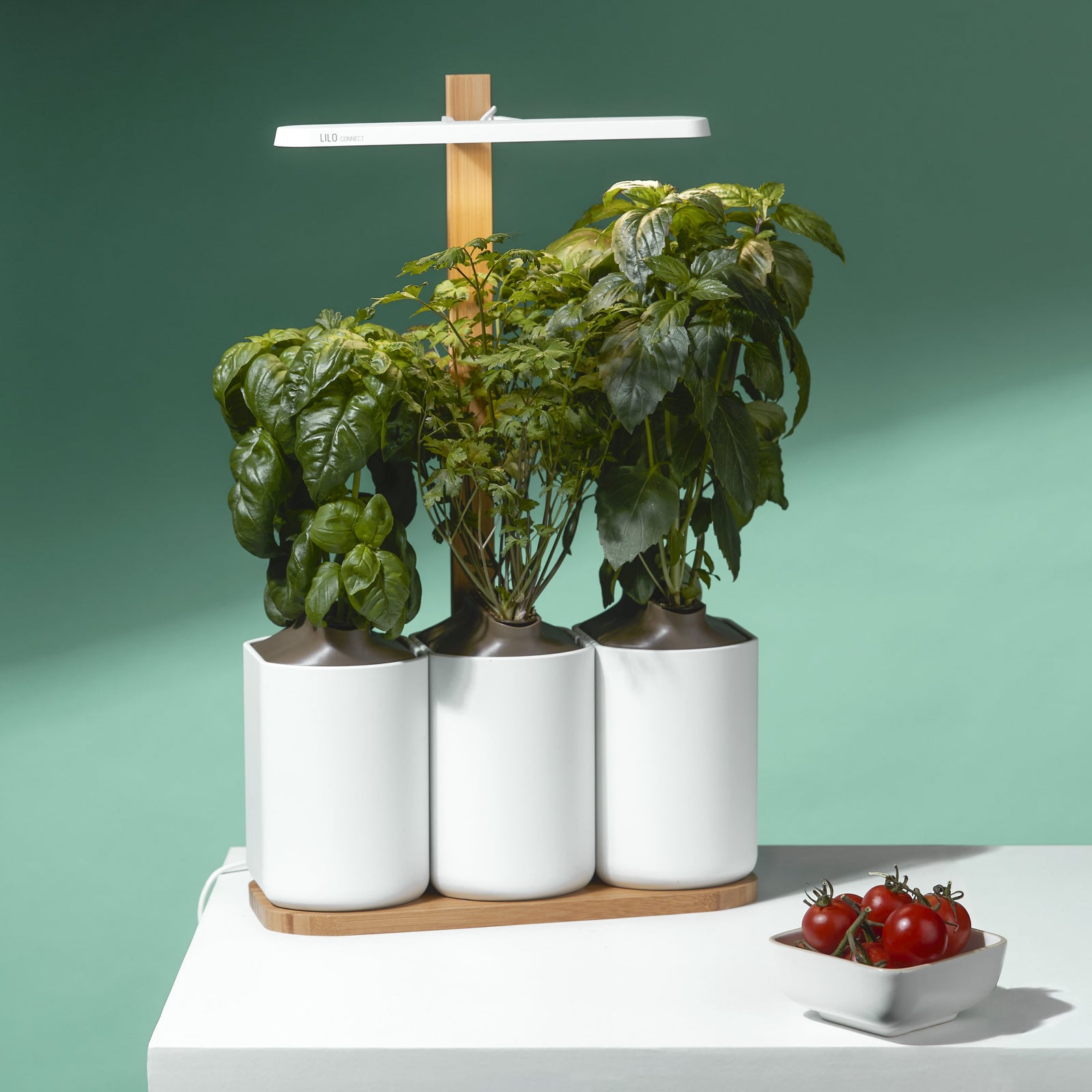 Modulo - The connected, modular and scalable indoor garden - Prêt à Pousser  🇪🇺